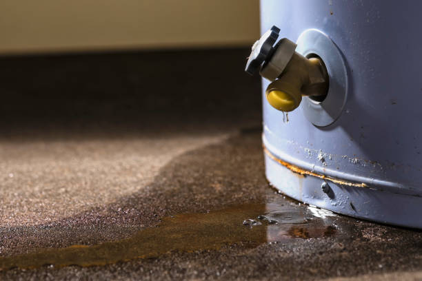 Best Water damage restoration near me  in Zellwood, FL