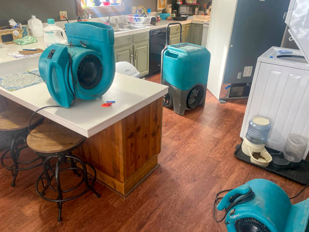 Best Flood damage cleanup  in Zellwood, FL