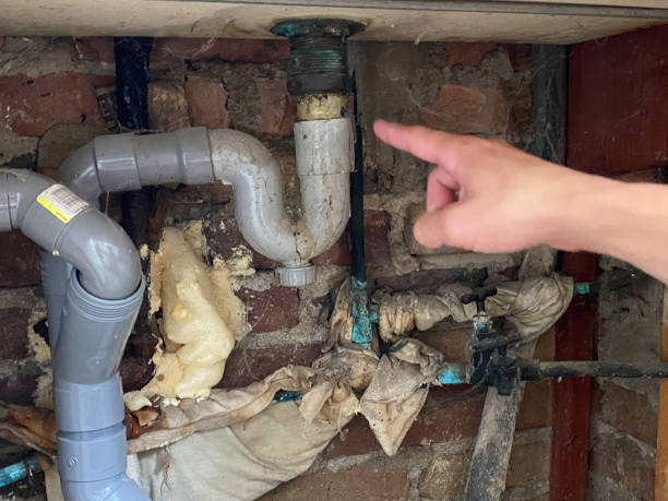 Best Residential water damage restoration  in Zellwood, FL